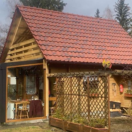 Holzhaus Mit Direktem Wasserzugang In Berlin-Koepenick Exterior foto